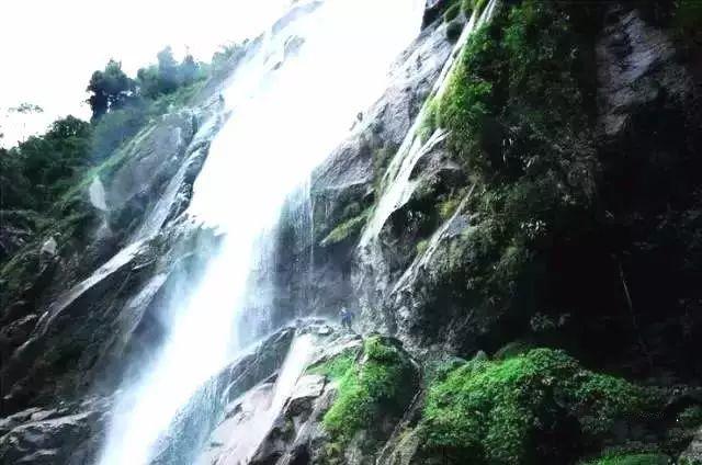 近万元瓷砖,因瓦工铺设失误,敲掉重来,需留心