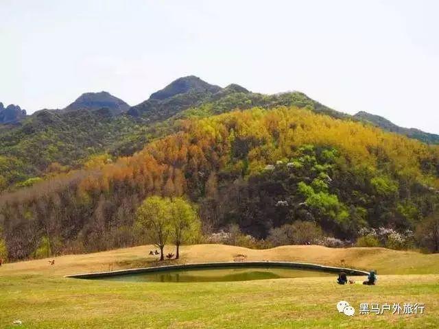 模拟农场17